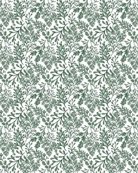 ColorWorks DL174 Emerald by   