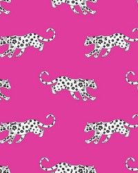 Cool Cat Pink Panther by   