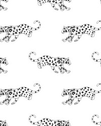 Cool Cat White Leopard by   