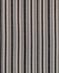 Cosgrove Stripe Graphite by   