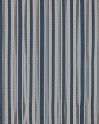 Cosgrove Stripe Twilight by   