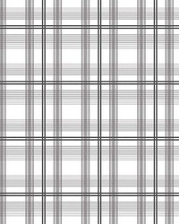 Cozy Plaid Charcoal by   