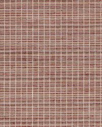 Cross Stitch Pumpkin Spice by   