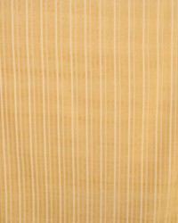 Dickens Goldenrod by   