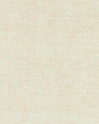 Domain Putty by  RM Coco 