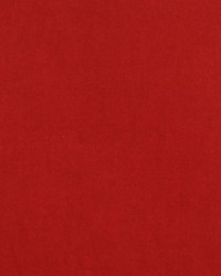 Deluxe Cotton Velvet Red by   