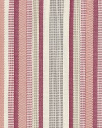 Dooley Stripe Crypton Macaroon by  Bailey and Griffin 