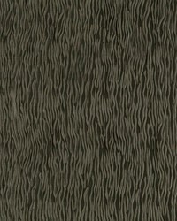 Doral Brindle by  RM Coco 