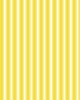 RM Coco Double Dutch Stripe Reversal Goldenrod