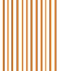 Double Dutch Stripe Apricot by   