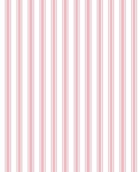 Double Dutch Stripe Petal by   