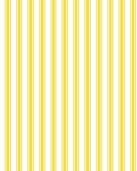 Double Dutch Stripe Sunshine by   