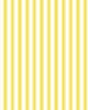RM Coco Double Dutch Stripe Sunshine