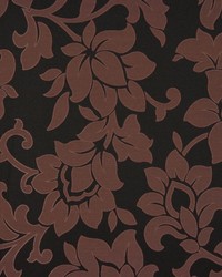 Evelyn Liquorice by  RM Coco 