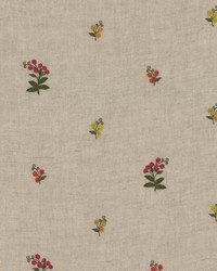 Eliza Hibiscus by  Bailey and Griffin 