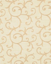 Familiar Face Sunrise by   