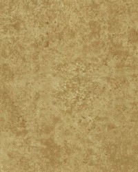 Freeze Frame Sungold by   