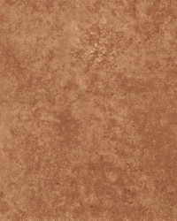 Freeze Frame Tangerine by   