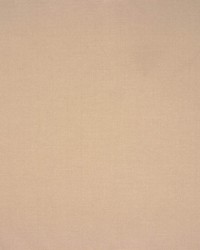 Idealist Platinum by   