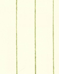 Informal Stripe Bleach by   