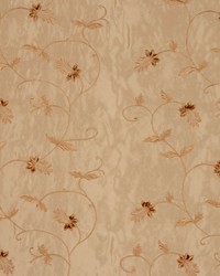 Jitterbug Champagne by   