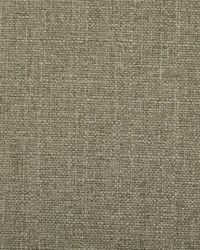 Jockey Club - Crypton Silver Lining by   