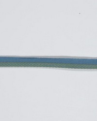 Lc102 Lipcord 3 8 in  Aquamarine by   
