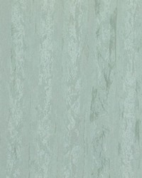 Madonna Oyster by  RM Coco 