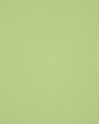 Masquerade Apple by  RM Coco 