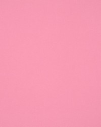 Masquerade Begonia by  RM Coco 