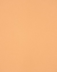 Masquerade Biscuit by  RM Coco 