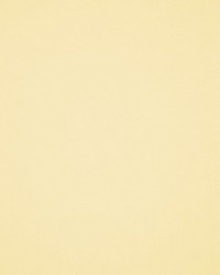 Masquerade Canary by  RM Coco 