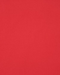 Masquerade Cardinal by  RM Coco 