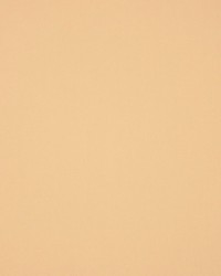 Masquerade Custard by  RM Coco 