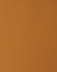 Masquerade Desert by  RM Coco 