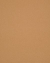 Masquerade Earth by  RM Coco 