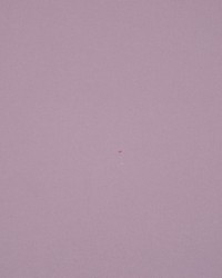 Masquerade Elderberry by  RM Coco 