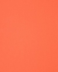 Masquerade Flame by  RM Coco 