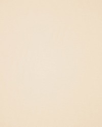 Masquerade Illusion by  RM Coco 