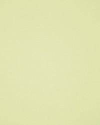 Masquerade Lime by  RM Coco 