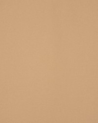 Masquerade Macaroon by  RM Coco 