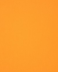 Masquerade Orange by  RM Coco 