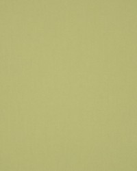 Masquerade Salad by  RM Coco 