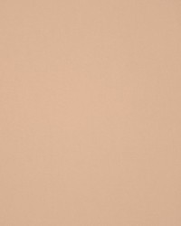 Masquerade Sand by  RM Coco 