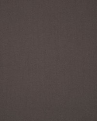 Masquerade Shale by  RM Coco 