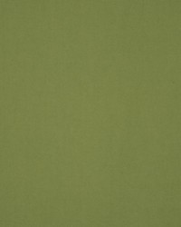 Masquerade Spinach by  RM Coco 