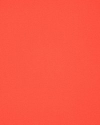 Masquerade Strawberry by  RM Coco 