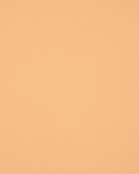 Masquerade Tan by  RM Coco 