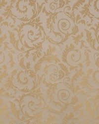 Mystery Parchment by   