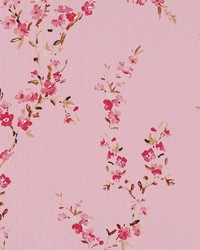 Manchurian Blossoms Cherry Blossom by   